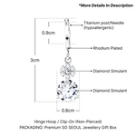 Load image into Gallery viewer, SO SEOUL Callista Sun Burst Diamond Simulant Zirconia Hoop Earrings and Pendant Chain Necklace Jewelry Gift Set