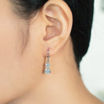 Load image into Gallery viewer, SO SEOUL Callista Sun Burst Diamond Simulant Zirconia Drop Earrings
